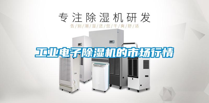 工業(yè)電子除濕機(jī)的市場行情