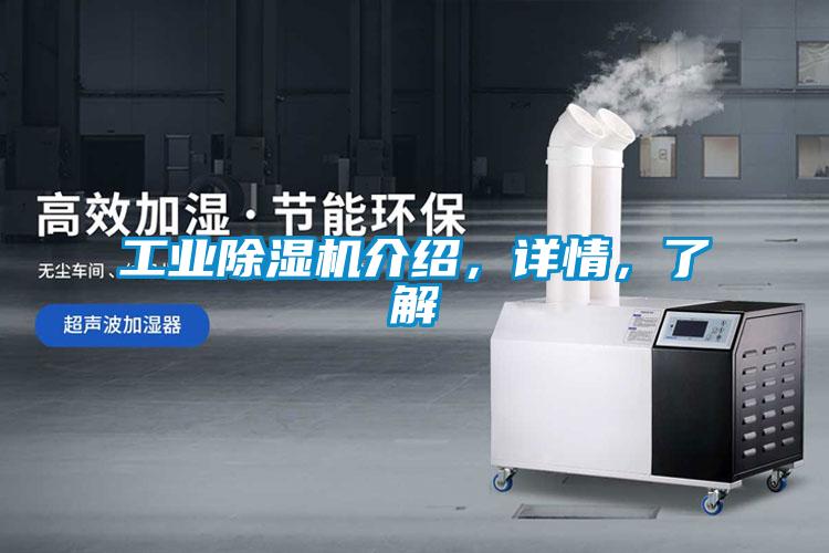 工業(yè)除濕機(jī)介紹，詳情，了解