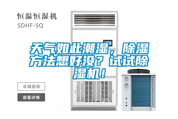 天氣如此潮濕，除濕方法想好沒？試試除濕機(jī)！