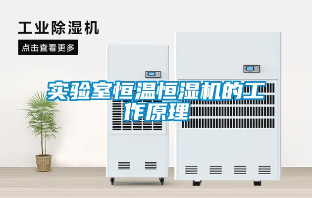 實驗室恒溫恒濕機的工作原理