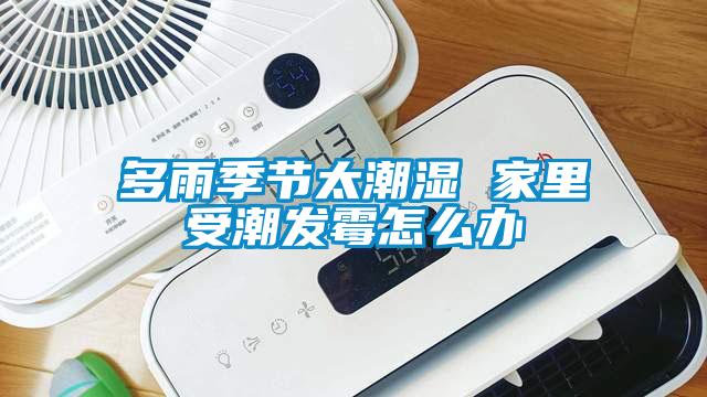 多雨季節太潮濕 家里受潮發霉怎么辦