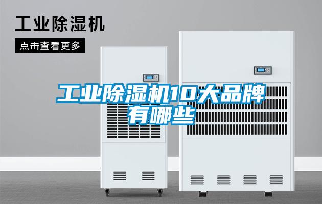 工業(yè)除濕機(jī)10大品牌有哪些