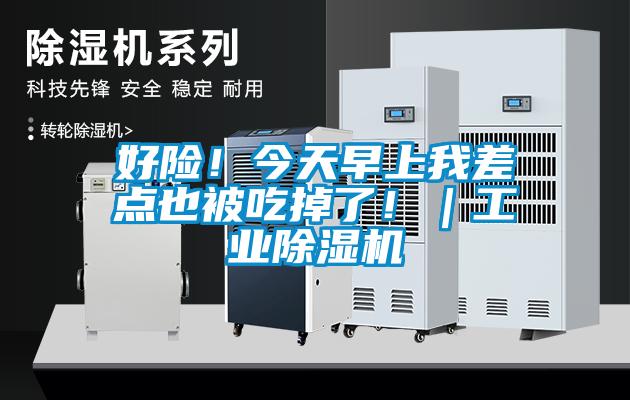 好險(xiǎn)！今天早上我差點(diǎn)也被吃掉了！｜工業(yè)除濕機(jī)