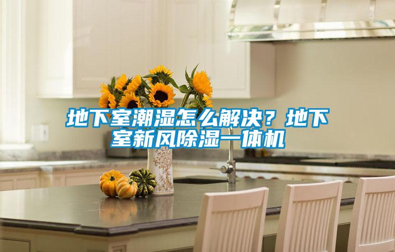 地下室潮濕怎么解決？地下室新風(fēng)除濕一體機(jī)