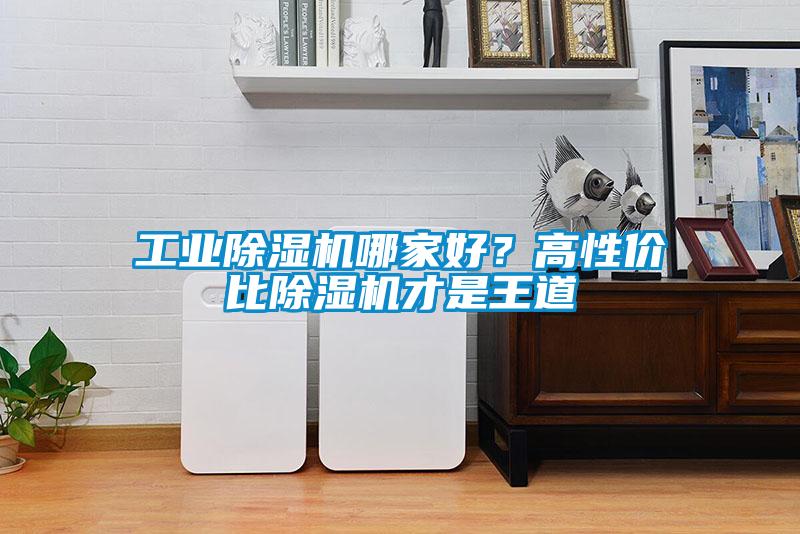 工業除濕機哪家好？高性價比除濕機才是王道