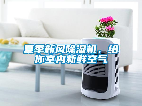 夏季新風(fēng)除濕機(jī)，給你室內(nèi)新鮮空氣