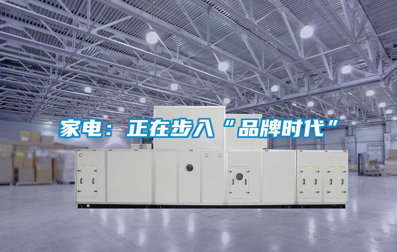 家電：正在步入“品牌時代”