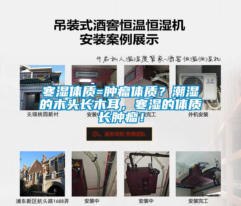 寒濕體質=腫瘤體質？潮濕的木頭長木耳，寒濕的體質長腫瘤！