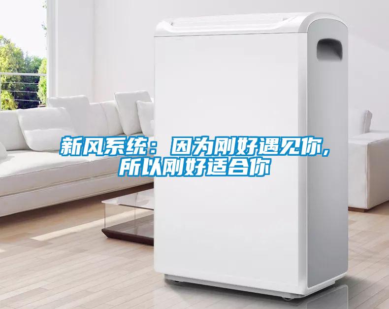 新風系統：因為剛好遇見你,所以剛好適合你