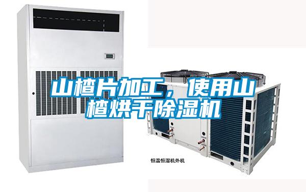山楂片加工，使用山楂烘干除濕機