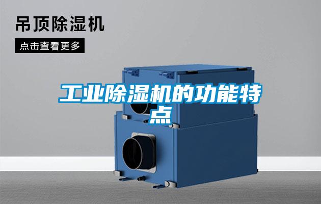工業(yè)除濕機(jī)的功能特點(diǎn)