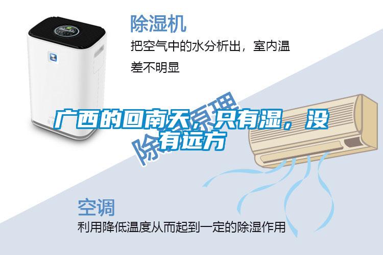 廣西的回南天，只有濕，沒有遠方