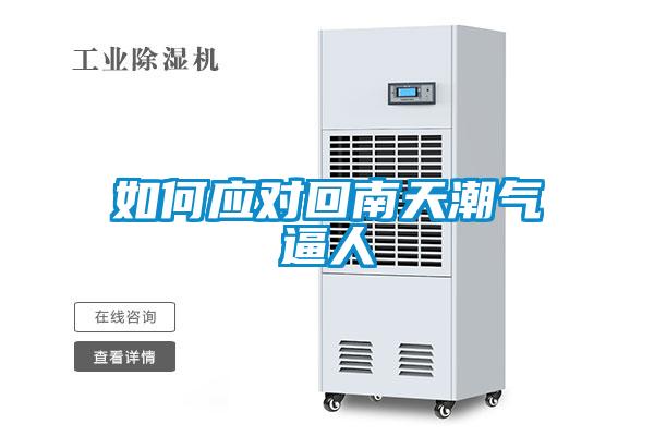 如何應對回南天潮氣逼人