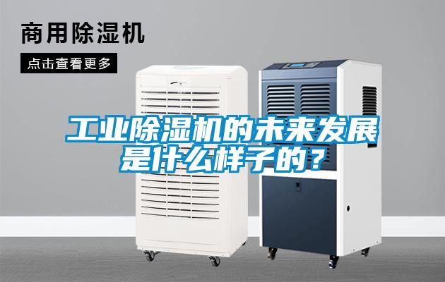 工業(yè)除濕機的未來發(fā)展是什么樣子的？