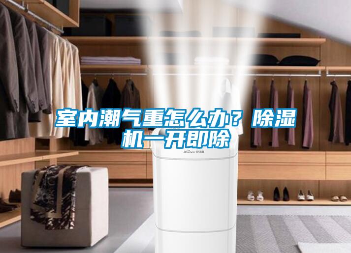 室內(nèi)潮氣重怎么辦？除濕機一開即除