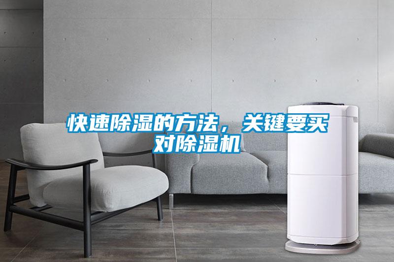 快速除濕的方法，關鍵要買對除濕機