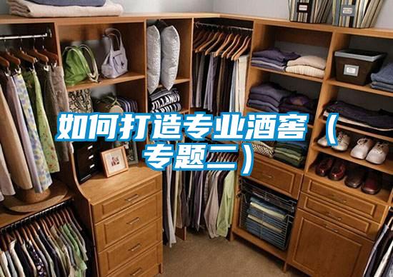 如何打造專業(yè)酒窖（專題二）