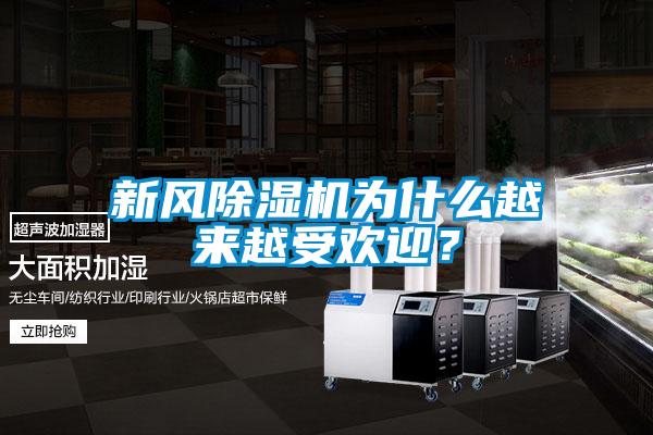 新風(fēng)除濕機(jī)為什么越來越受歡迎？