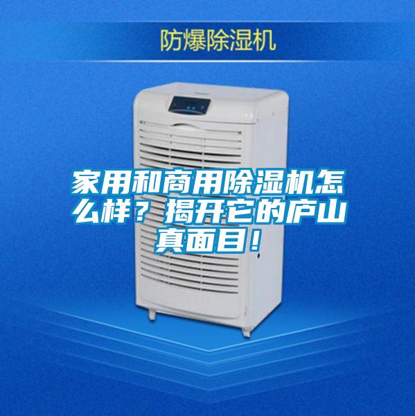 家用和商用除濕機怎么樣？揭開它的廬山真面目！