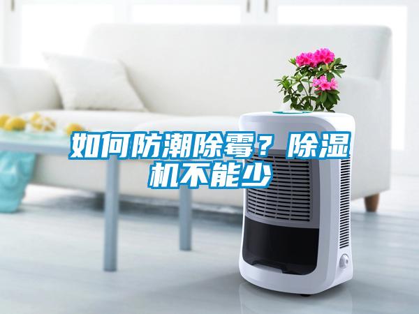 如何防潮除霉？除濕機不能少