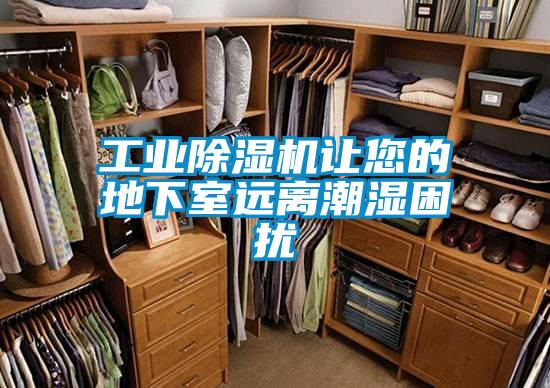 工業(yè)除濕機(jī)讓您的地下室遠(yuǎn)離潮濕困擾