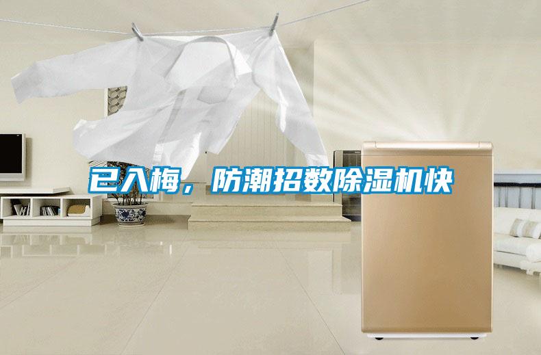 已入梅，防潮招數除濕機快