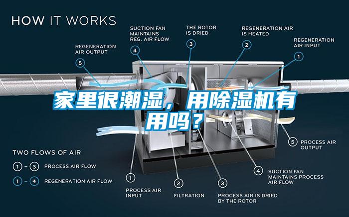 家里很潮濕，用除濕機(jī)有用嗎？