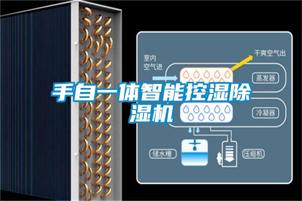 手自一體智能控濕除濕機(jī)