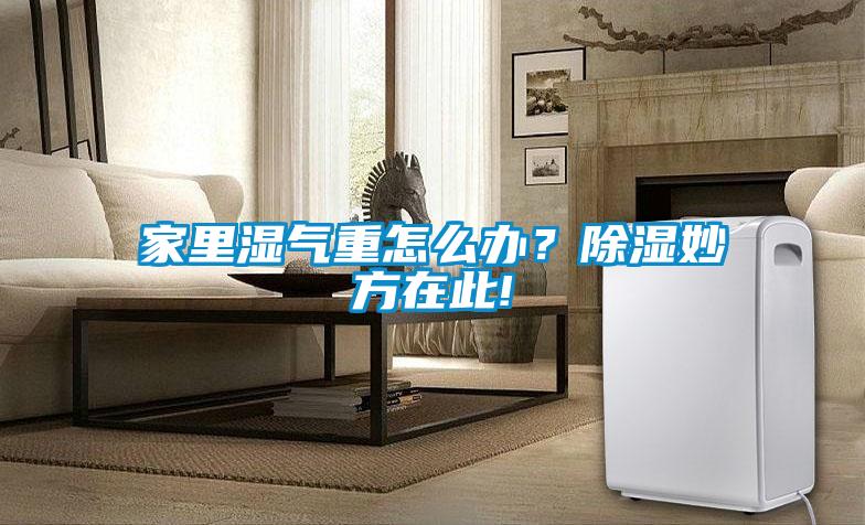 家里濕氣重怎么辦？除濕妙方在此!