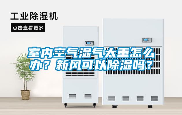 室內空氣濕氣太重怎么辦？新風可以除濕嗎？