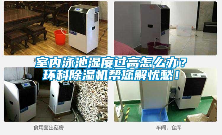 室內泳池濕度過高怎么辦？環科除濕機幫您解憂愁！