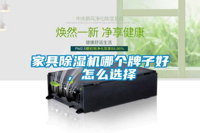 家具除濕機哪個牌子好，怎么選擇