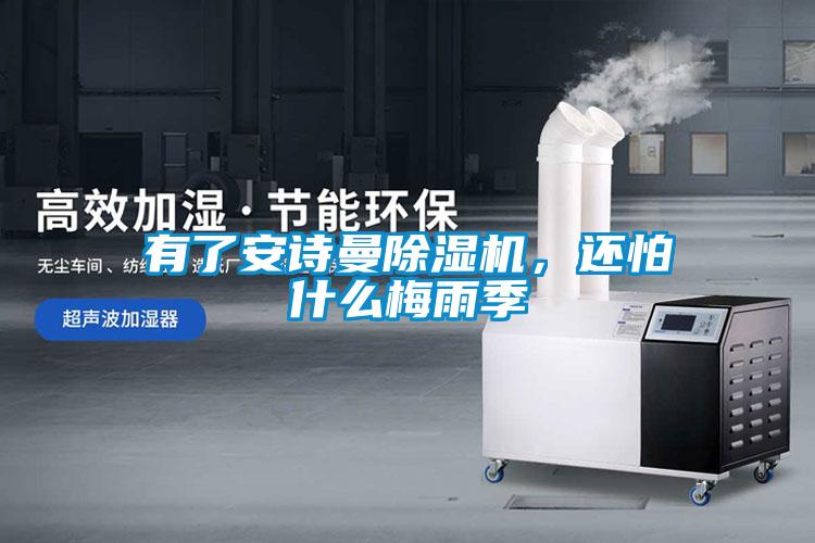 有了安詩曼除濕機，還怕什么梅雨季