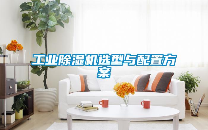 工業除濕機選型與配置方案