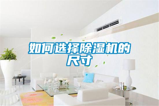 如何選擇除濕機的尺寸
