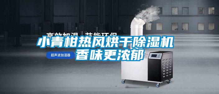 小青柑熱風烘干除濕機 香味更濃郁