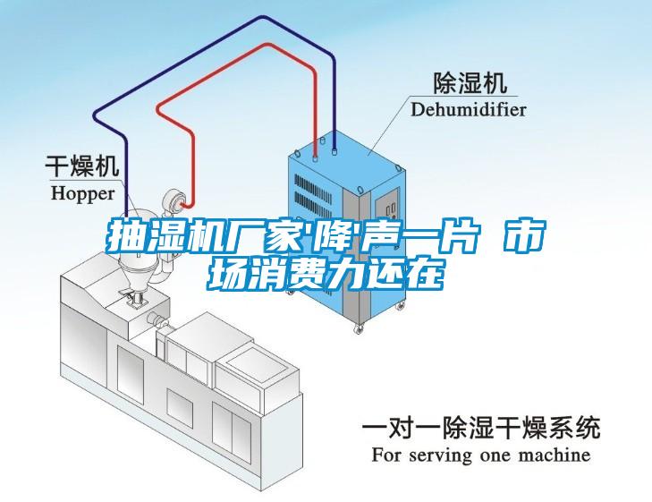 抽濕機廠家'降'聲一片 市場消費力還在