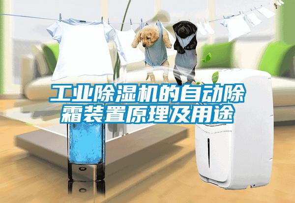工業除濕機的自動除霜裝置原理及用途