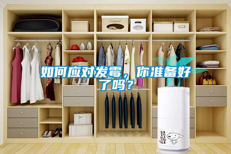 如何應對發霉，你準備好了嗎？