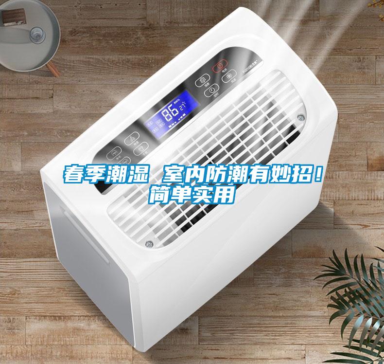 春季潮濕 室內防潮有妙招！簡單實用