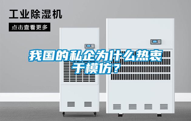 我國的私企為什么熱衷于模仿？