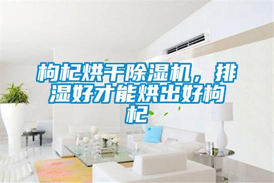枸杞烘干除濕機，排濕好才能烘出好枸杞