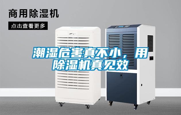 潮濕危害真不小，用除濕機真見效