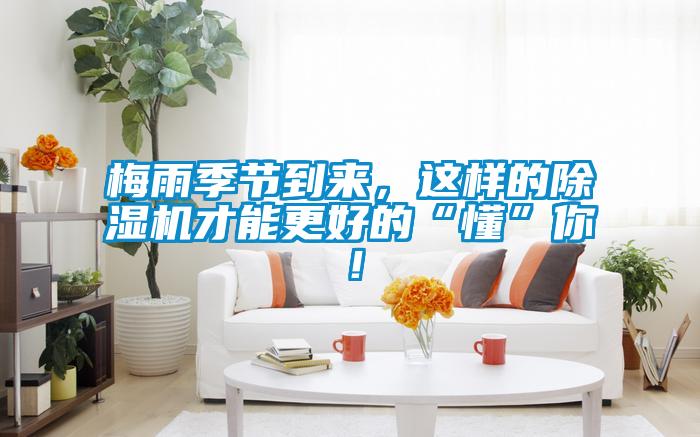 梅雨季節(jié)到來，這樣的除濕機(jī)才能更好的“懂”你！