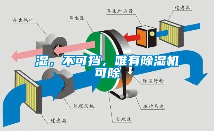濕，不可擋，唯有除濕機(jī)可除