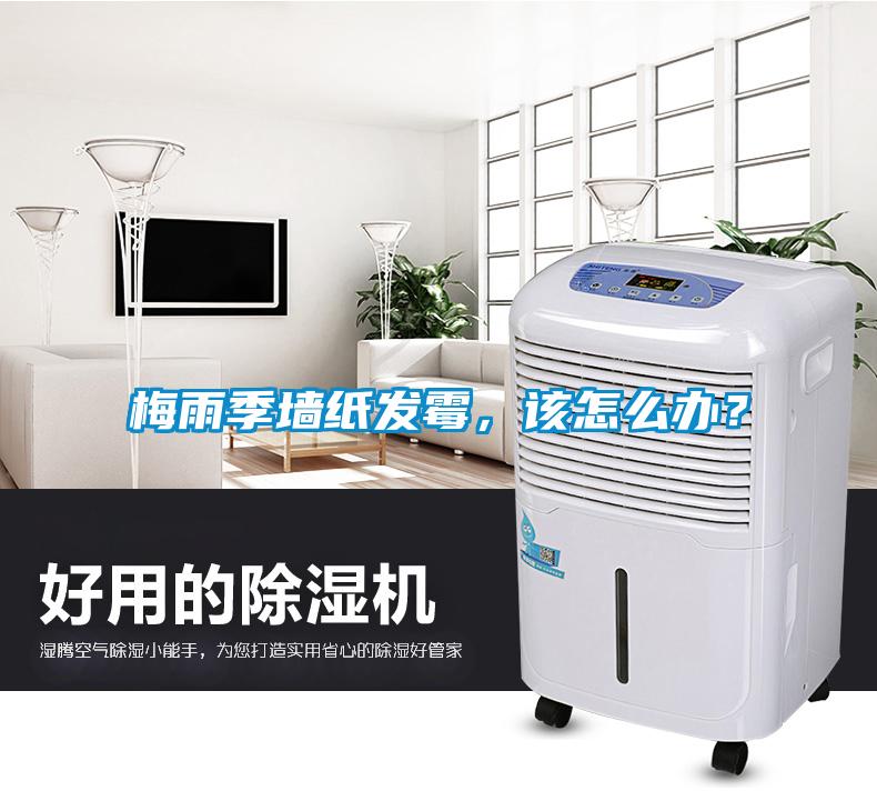 梅雨季墻紙發(fā)霉，該怎么辦？