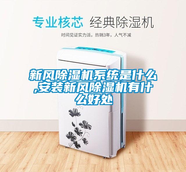 新風除濕機系統是什么,安裝新風除濕機有什么好處