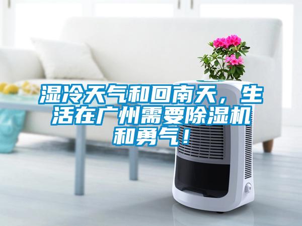 濕冷天氣和回南天，生活在廣州需要除濕機和勇氣！