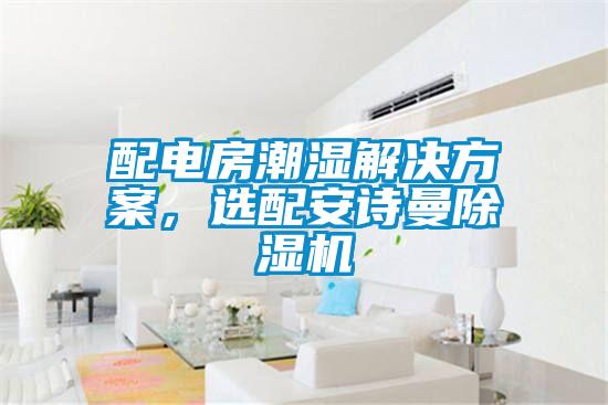 配電房潮濕解決方案，選配安詩曼除濕機