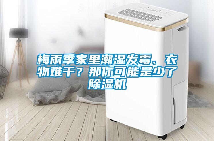 梅雨季家里潮濕發霉、衣物難干？那你可能是少了除濕機